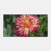 オレンジ菊の写真、カナダフラワー デスクマット (正面)