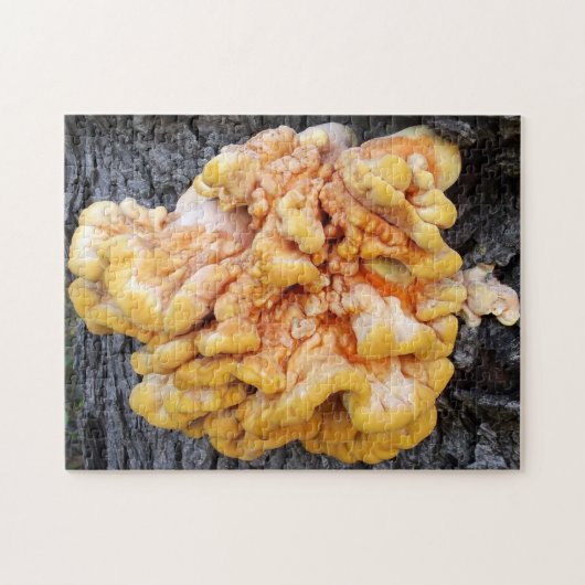 オレンジ菌 ジグソーパズル (横)