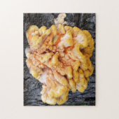 オレンジ菌 ジグソーパズル (縦)