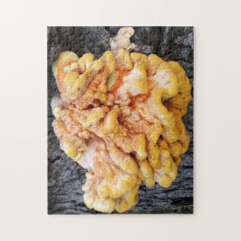 オレンジ菌 ジグソーパズル