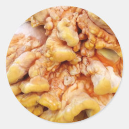 オレンジ菌 ラウンドシール