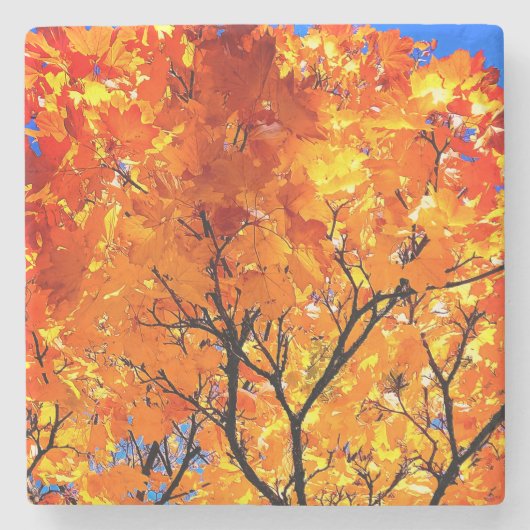 オレンジ葉色 ストーンコースター (正面)