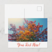 オレンジ葉黄色葉書 ポストカード (正面/裏面)