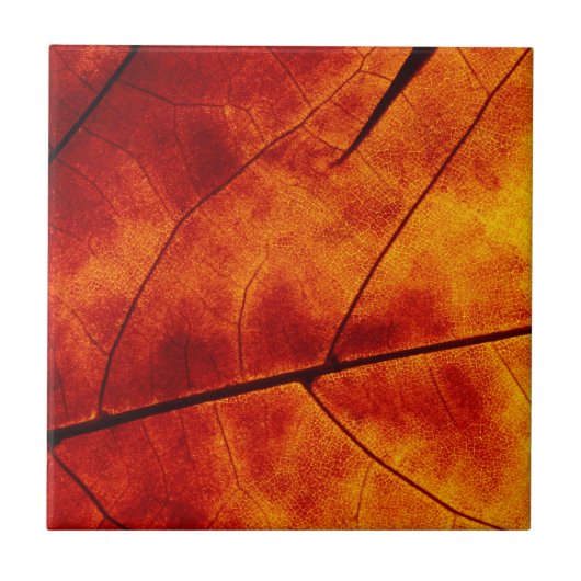 オレンジ葉 タイル (正面)