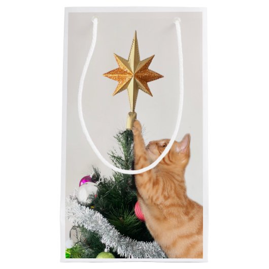 オレンジ虎猫とクリスマススター スモールペーパーバッグ (正面)