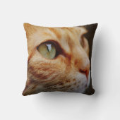 オレンジ虎猫とグリーンアイズカスタム クッション (裏面)