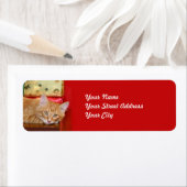 オレンジ虎猫のクリスマス ラベル (インサイチュ)