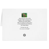 オレンジ虎猫の子ネコ (裏面横)