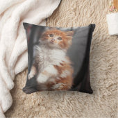 オレンジ虎猫の子ネコ クッション (ブランケット)