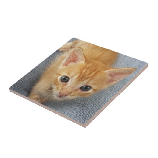 オレンジ虎猫の子ネコ タイル (側面)