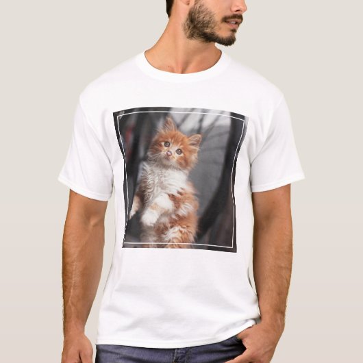 オレンジ虎猫の子ネコ Tシャツ (正面)