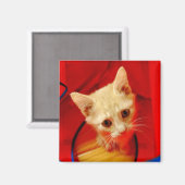 オレンジ虎猫キッテン磁石 マグネット (正面/裏面)