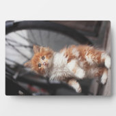 オレンジ虎猫キッテン フォトプラーク (正面)