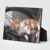 オレンジ虎猫キッテン フォトプラーク (側面)