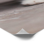 オレンジ虎猫キッテン ポスター (角)