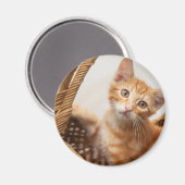 オレンジ虎猫キッテン マグネット (正面/裏面)