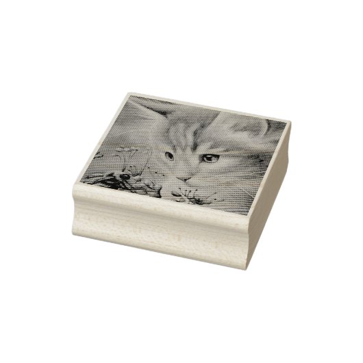 オレンジ虎猫キッテン&(昆虫)マルハナバチウォーターカラーアート ラバースタンプ (スタンプ)