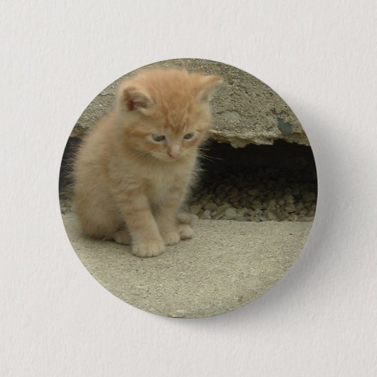 オレンジ虎猫キッテン 缶バッジ (正面)