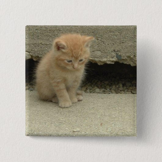 オレンジ虎猫キッテン 缶バッジ (正面)