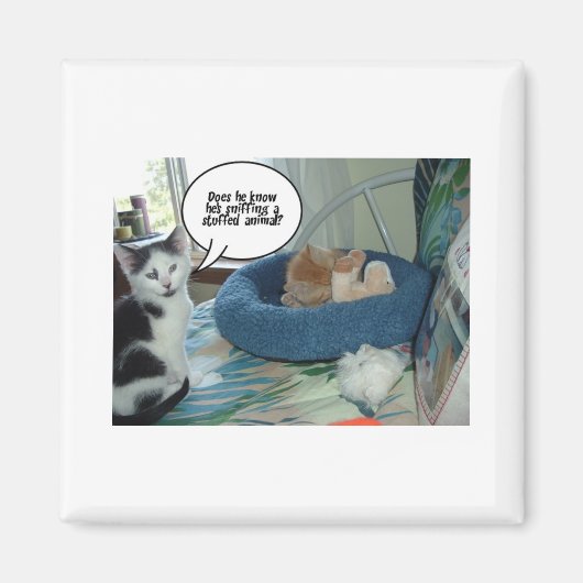 オレンジ虎猫キティキャット マグネット (正面)