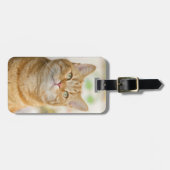 オレンジ虎猫キティキャット ラゲッジタグ (正面横)