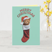 オレンジ虎猫クリスマスストッキング カード (黄色い花)