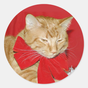 オレンジ虎猫クリスマスボウステッカー ラウンドシール
