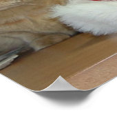 オレンジ虎猫クリスマス ポスター (角)