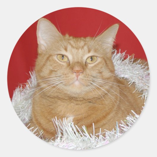 オレンジ虎猫クリスマス ラウンドシール (正面)