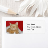 オレンジ虎猫クリスマス ラベル (インサイチュ)