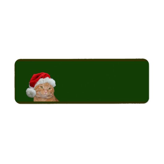 オレンジ虎猫クリスマス ラベル (正面)