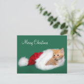 オレンジ虎猫サンタハット シーズンポストカード (スタンド正面)