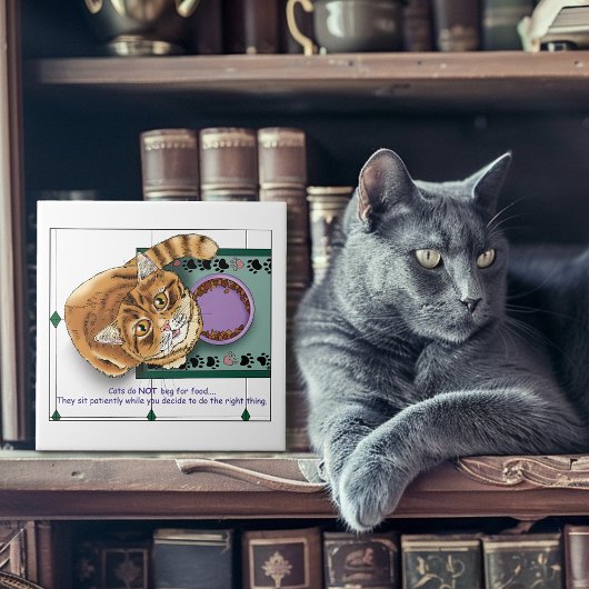 オレンジ虎猫フードボウルキッチン タイル