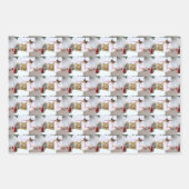 オレンジ虎猫ラッピング紙フラットシートセット3 ラッピングペーパーシート (正面3)