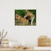 オレンジ虎猫兄弟姉妹 ポスター (キッチン)