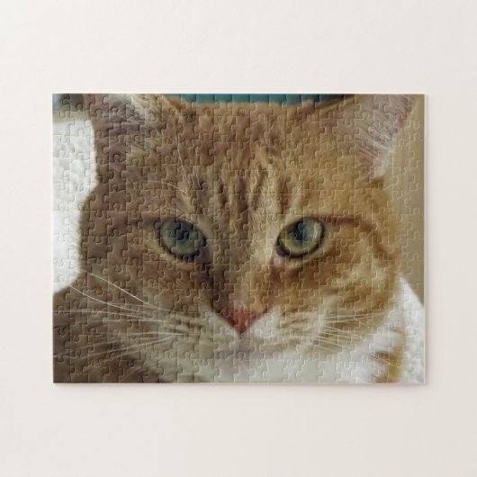 オレンジ虎猫猫のジグソーパズル ジグソーパズル (横)