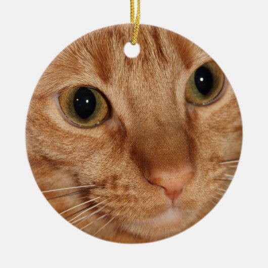 オレンジ虎猫猫のプロフィールの顔の終わり セラミックオーナメント (正面)