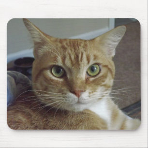 オレンジ虎猫猫のマウスパッド マウスパッド