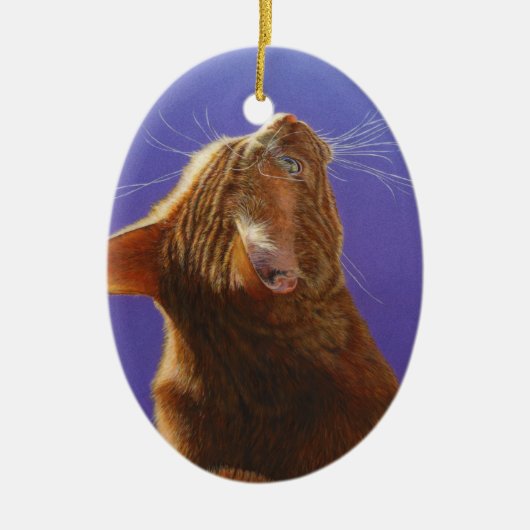 オレンジ虎猫猫の天使ライト#2 セラミックオーナメント (正面)