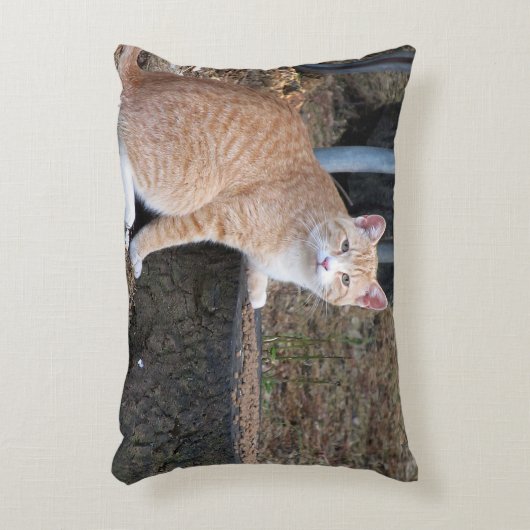 オレンジ虎猫猫の枕 アクセントクッション (正面(垂直))