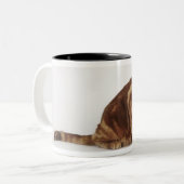 オレンジ虎猫猫 ツートーンマグカップ (正面左)