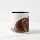 オレンジ虎猫猫 ツートーンマグカップ (中央)