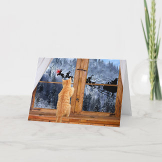 オレンジ虎猫赤ドットクリスマス シーズンカード