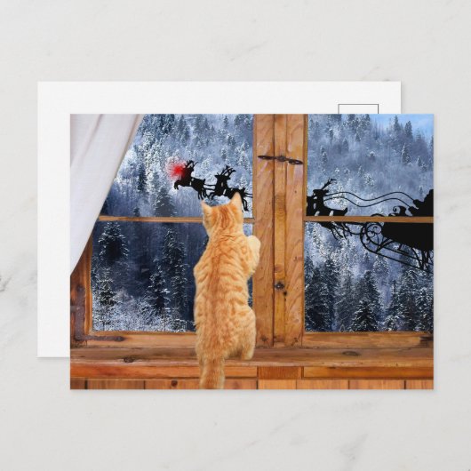 オレンジ虎猫赤ドットクリスマス シーズンポストカード (正面/裏面)