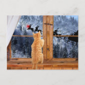 オレンジ虎猫赤ドットクリスマス シーズンポストカード (正面)