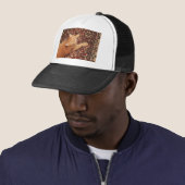 オレンジ虎猫 キャップ (インサイチュ)