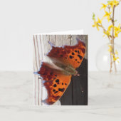 オレンジ蝶メッセージカード カード (黄色い花)