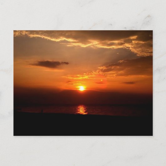 オレンジ覚醒 ポストカード (正面)