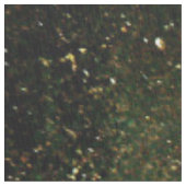 オレンジ質のドラゴン ファブリック (クローズアップ)