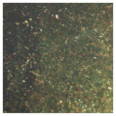 オレンジ質のドラゴン ファブリック (見本)